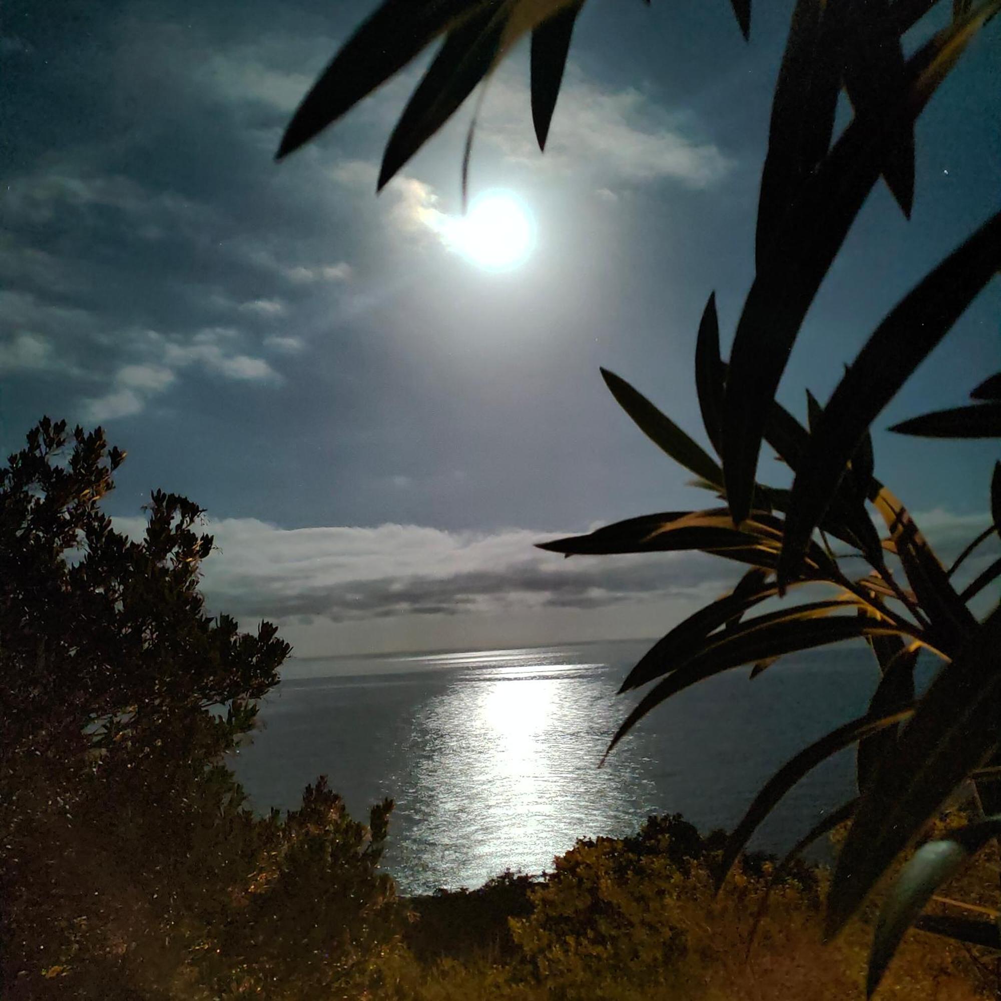 Studio Vue Sur Mer Conca Zewnętrze zdjęcie