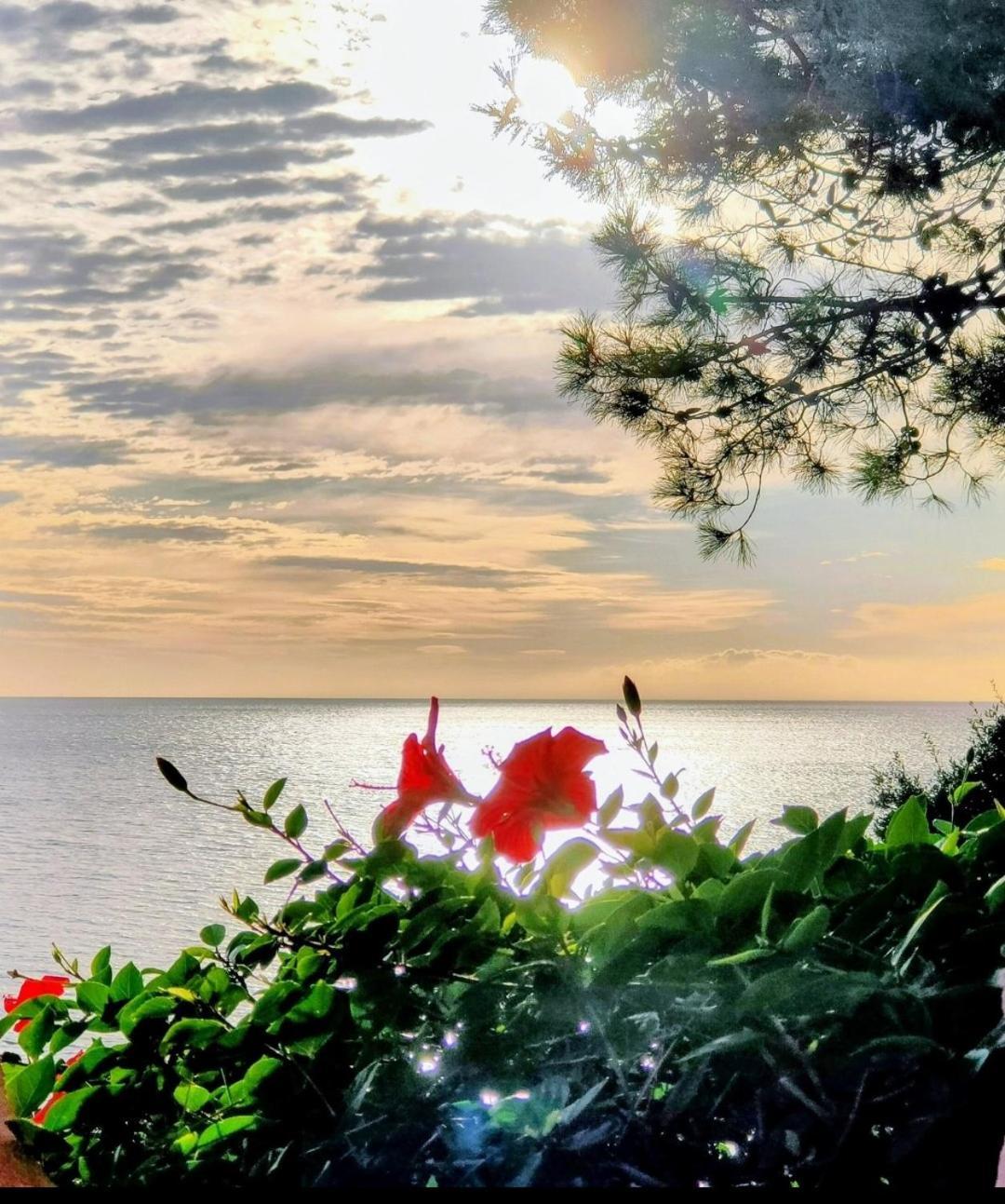Studio Vue Sur Mer Conca Zewnętrze zdjęcie